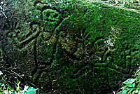 Indigenous Petroglyphs, Boaco